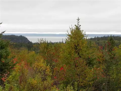 lot52 54 Dixie Rd, Trescott Twp, ME 04652