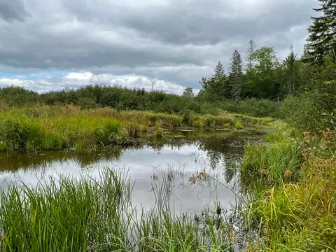 351 Meadow Rd, Corinth, ME 04427 photo 1