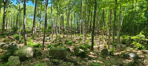 152 Dunton Rd, Naples, ME 04055
