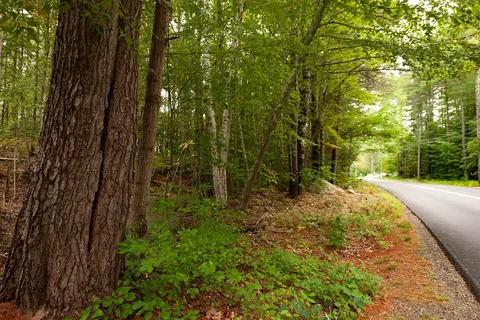 54 Logging Rd, York, ME 03902