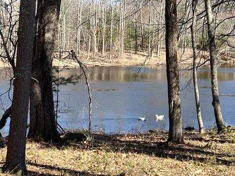 15 Cincotta Lane # r50, Berwick, ME 03901