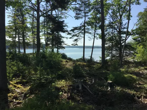 6-35 36 Falcon Ln, Lamoine, ME 04605