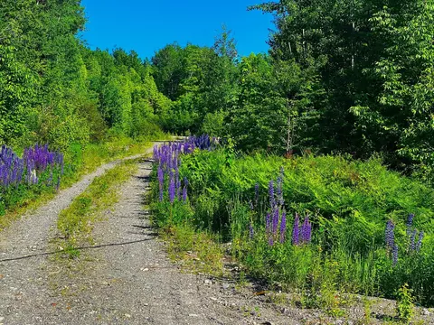 lot13 Main St, Sandy River Plt, ME 04970