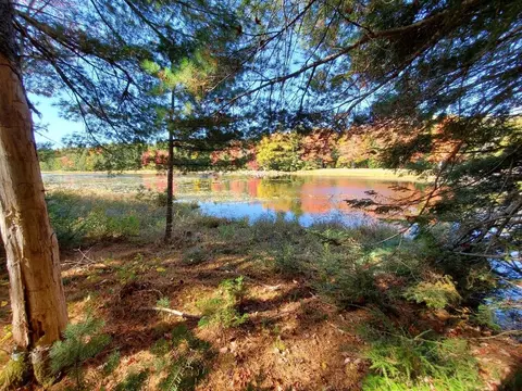 0 Clifford Lake Rd, Greenlaw Chopping Twp, ME 04668