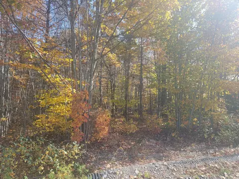 lot1 Harris Rd, Charleston, ME 04422