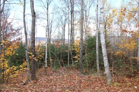 1 Center Hill Road, Weld, ME 04285