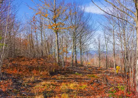 lot5 Mine Rd, Stoneham, ME 04231