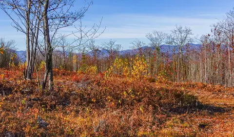lot8 Mine Rd, Stoneham, ME 04231