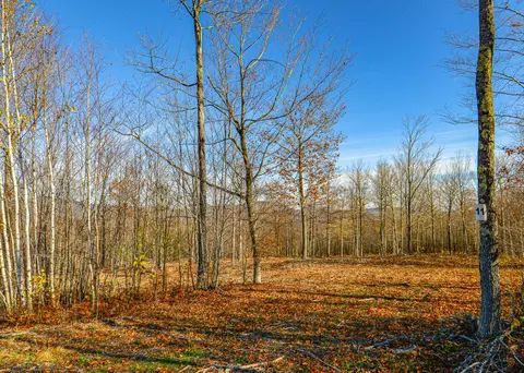 lot11 Mine Rd, Stoneham, ME 04231