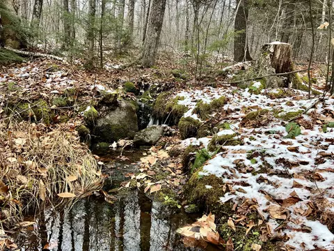lot7 1 Bragdon Rd, Montville, ME 04941