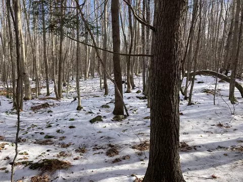 54 Ridge Rd, Sumner, ME 04292 photo 1