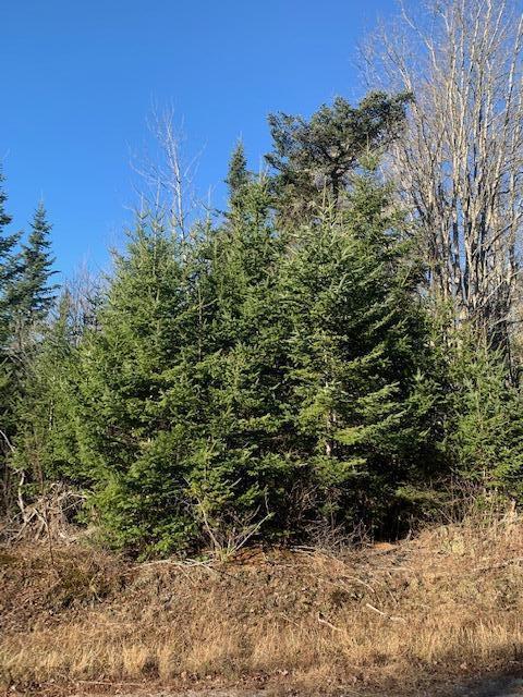 070 Bobcat Path, Machias, ME 04654