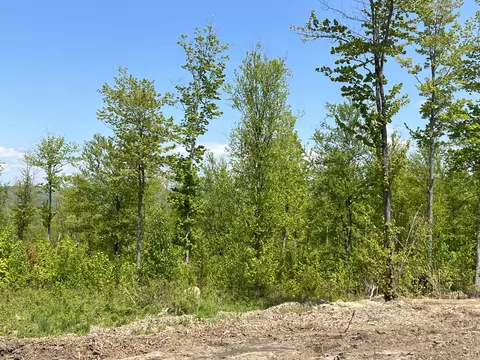lot9 B Harmony Row, Bethel, ME 04217