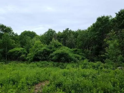 lot A Shaw Rd, Augusta, ME 04330