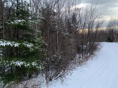 lot4 Bog Brook Way, Cutler, ME 04626