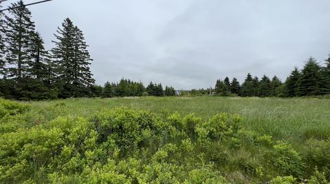 M4 L9 Dixie Road, Lubec, ME 04652