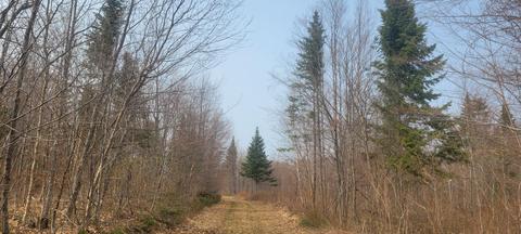 Map19 Lot 1, Grand Isle, ME 04746