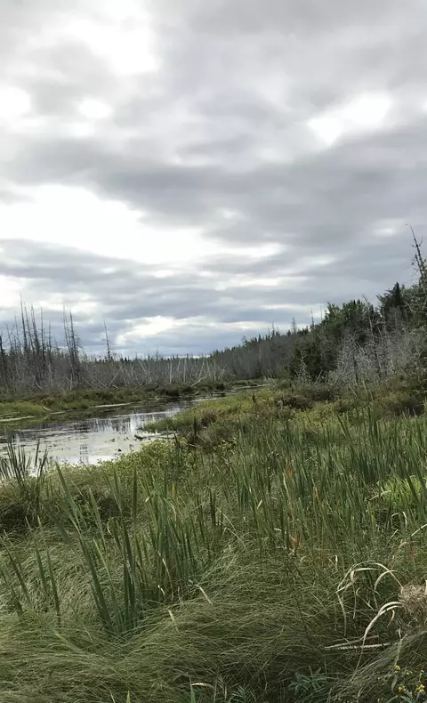 0 Hollywood Road Ests, Hodgdon, ME 04730