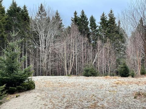 lot30 Pineo Rd, Roque Bluffs, ME 04654