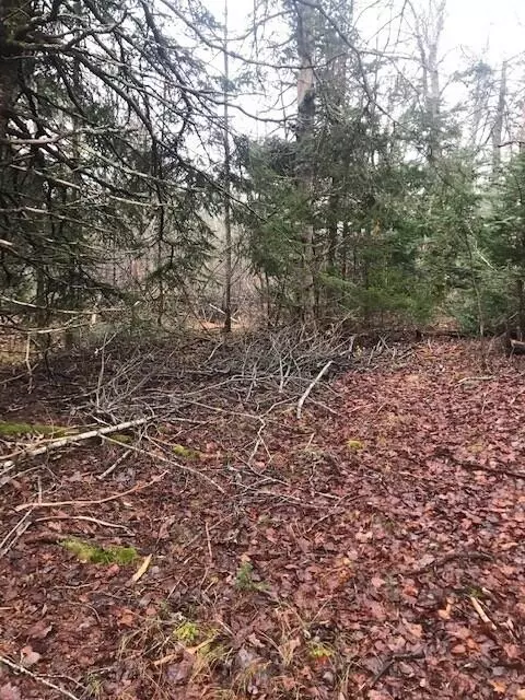 0 Marigold Way, Ellsworth, ME 04605