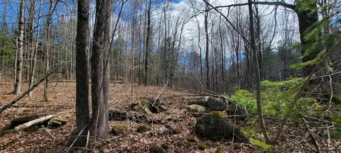 0 Borough Rd, Dover Foxcroft, ME 04426