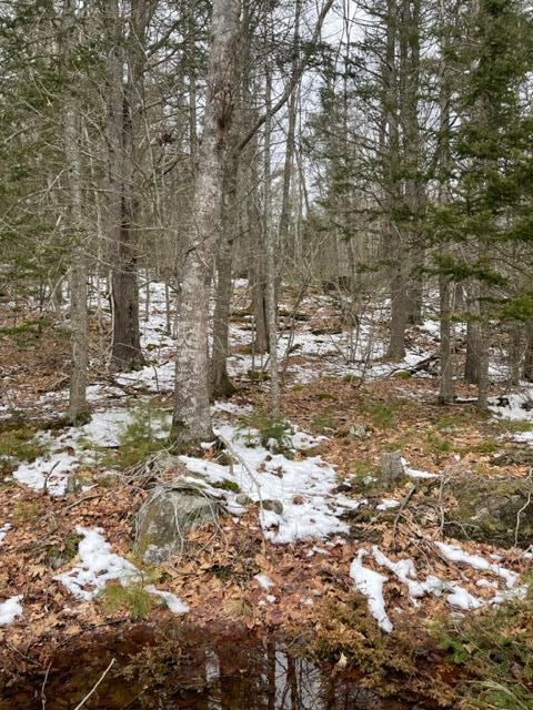 24 Seguinland Rd, Georgetown, ME 04548 photo 1