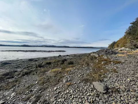 lot35 2 Bedrock Ln, Trescott Twp, ME 04652