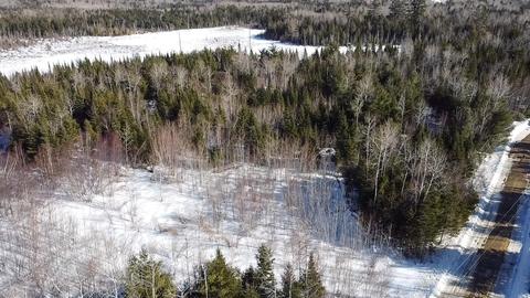 Lot 34.7 Sunflower Drive, Prentiss Twp T7 R3 Nbpp, ME 04487