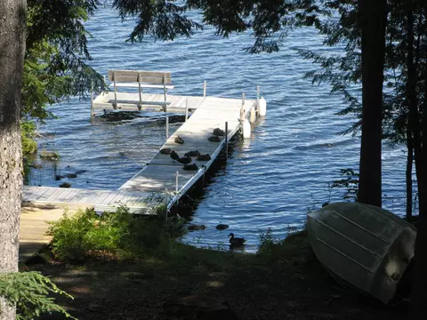 113 Maple Shore Ln, Stetson, ME 04488 photo 1