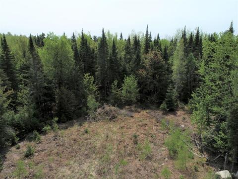 M10 L30-7 & 7a And L8 & 8a Birch Lane, Canaan, ME 04924