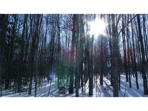 M19 Lot30 Seminole Drive, Farmington, ME 04938