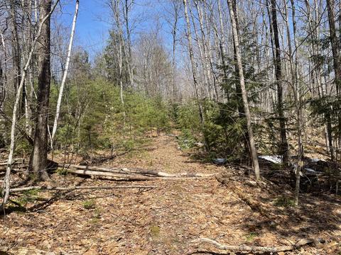 R6 Lot50a Adams Road, Chesterville, ME 04938