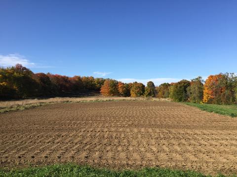 Map 4 Lot 33 Carson Hill Road, Harmony, ME 04942