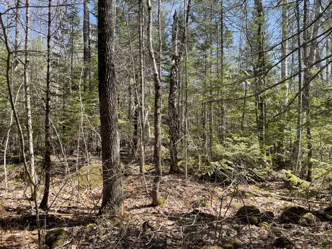 172 E Madrid Rd, Phillips, ME 04966 photo 1