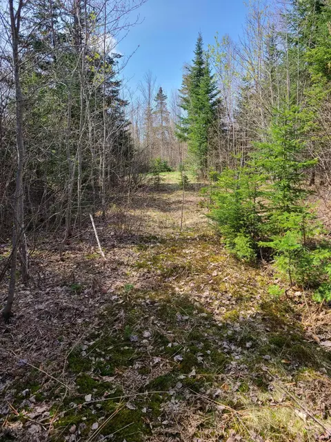 62 Overlook Dr, Eustis, ME 04936 photo 1