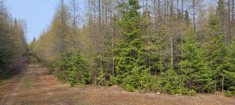 Map32 Lot1 Doucette Road, Grand Isle, ME 04746