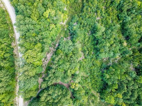 37 Loop Rd # D, Fryeburg, ME 04037