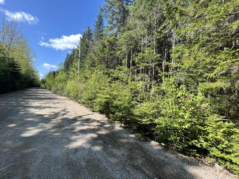 21 Chambers Rd, Franklin, ME 04634