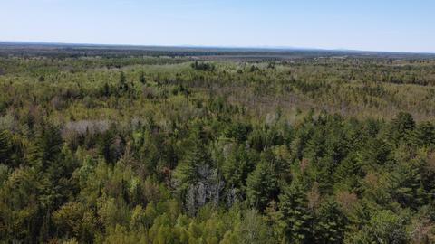 lot30 7 Off Cardville Rd, Greenbush, ME 04418