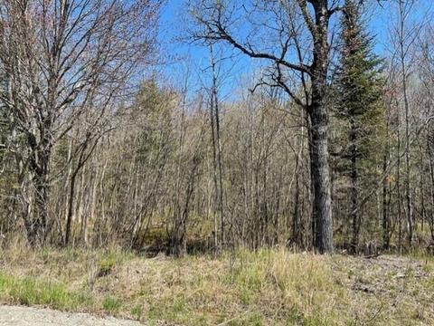 L20 Greenleaf Road, Anson, ME 04911