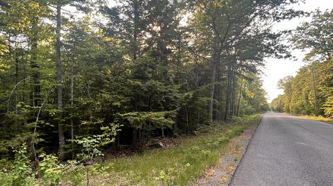 Map 4 Lot 17 Tbd North Dexter Road, Parkman, ME 04443