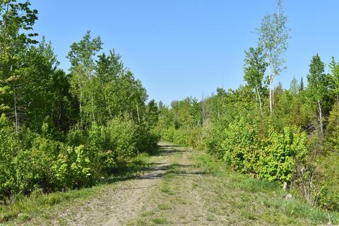 Off Goulds Ridge Road, Passadumkeag, ME 04475