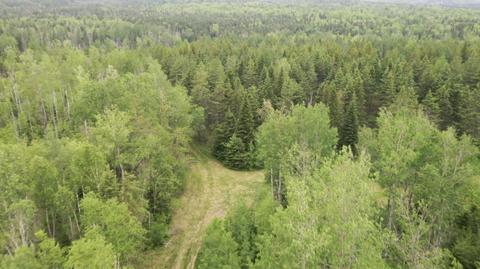 210 Mahany Rd, Easton, ME 04740