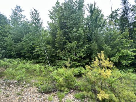 50 Hill Farm Ln, Fryeburg, ME 04037