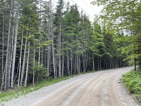 lot19 High Head Rd, East Machias, ME 04630
