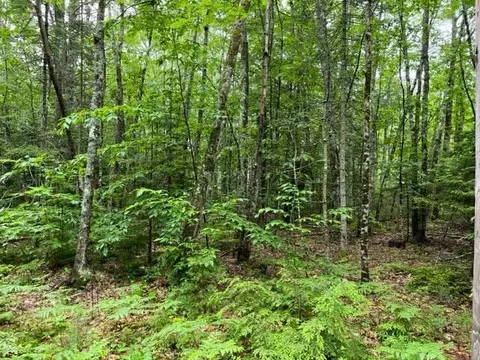 Lot 1 Donna's Way, Saco, ME 04072
