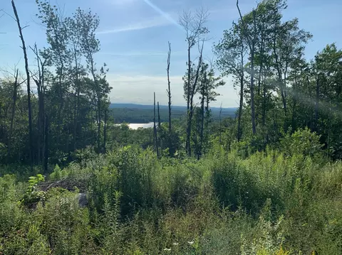 Map 9 Lot 21 Off Diamond Road, Saint Albans, ME 04971