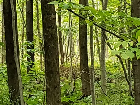 M17l70 Auburn Street, Peru, ME 04290