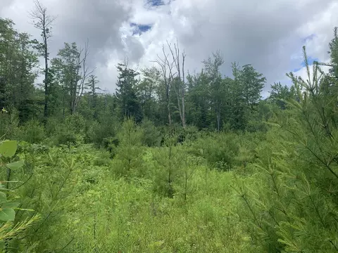 15 Bridgton Rd, Sweden, ME 04040