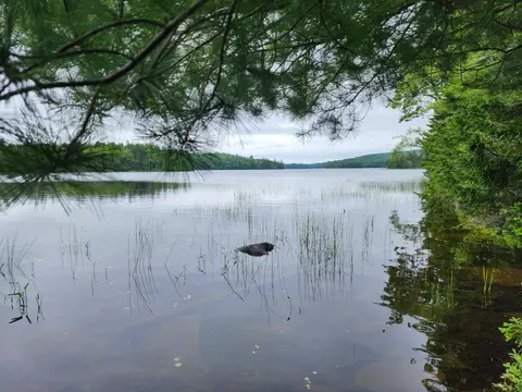 Parcel L Howard Lake Road, Robbinston, ME 04671
